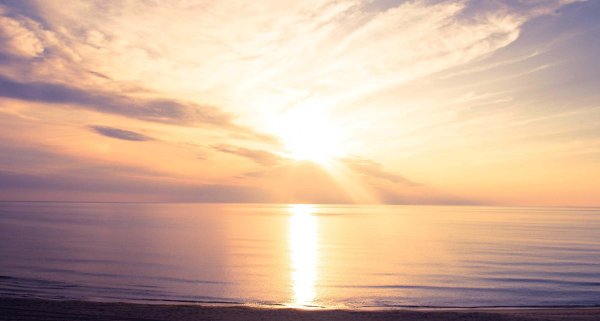 Весенний лучик солнца