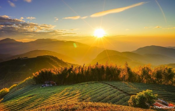 Закат на реке