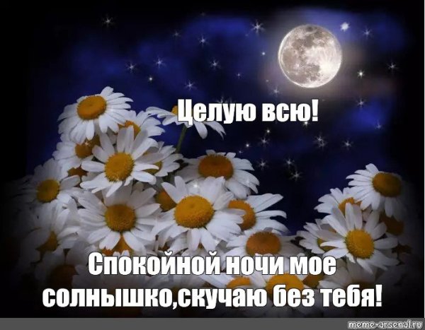 Спокойной ночи солнышко