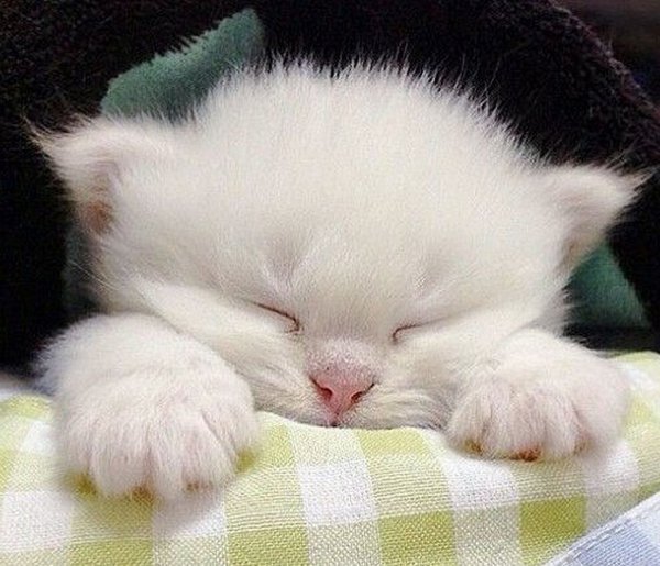 Доброй ночи