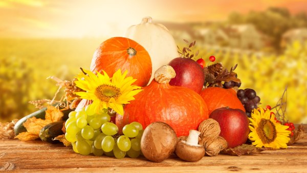 Солнечные фрукты и овощи