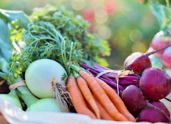 Цветные овощи и фрукты