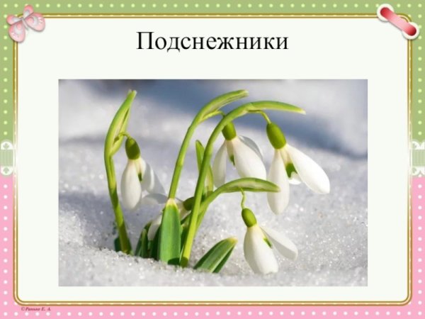 Поляна подснежников