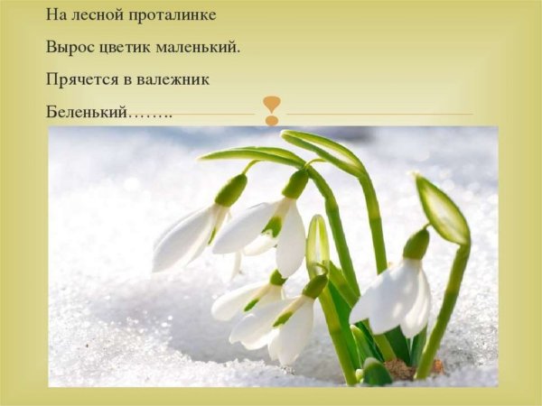 Подснежник Ганс христиан Андерсен