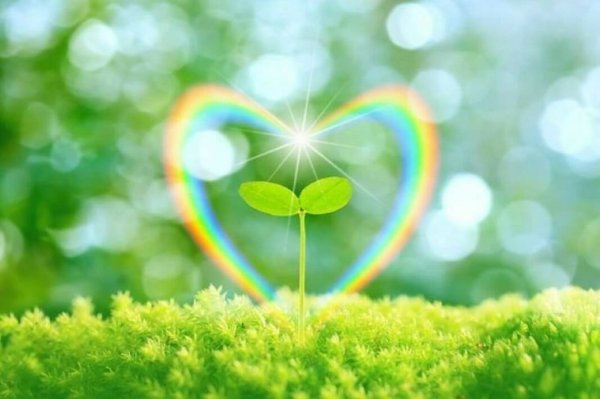 Гармония и радость