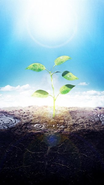 Зеленый Росток