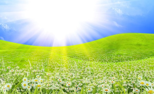 Летний пейзаж