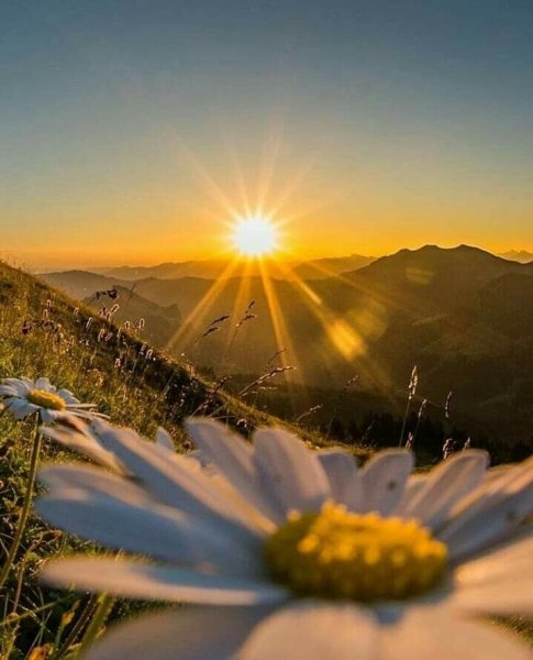 Природа солнце