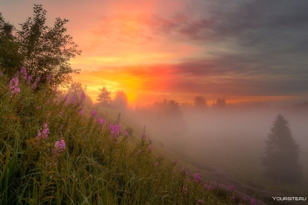 Утренняя Заря