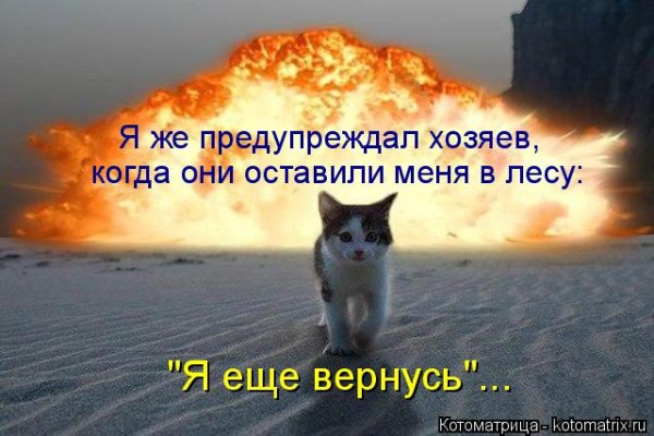 Солнце встает