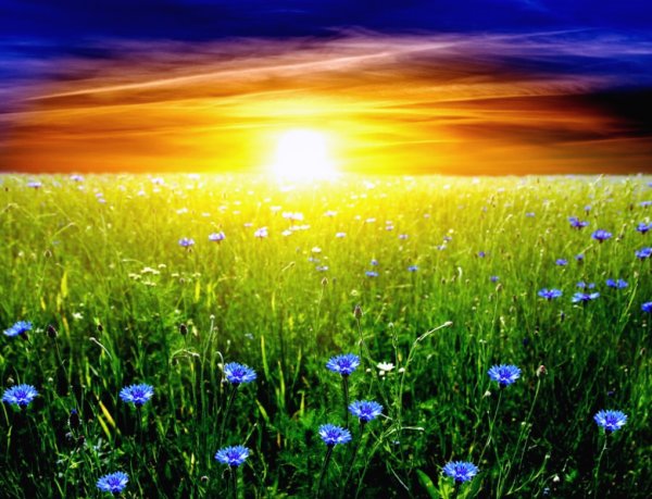 Лето в России