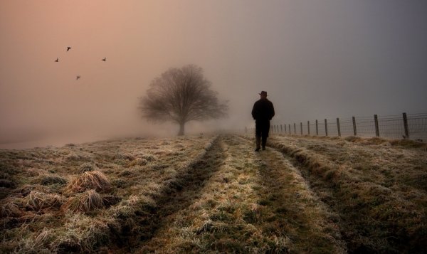 Танец осени