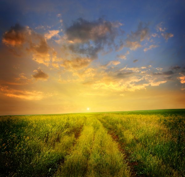 Солнце сказка о мёртвой царевне и семи богатырях солнце