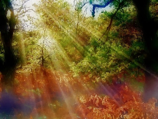 Солнышко с красками