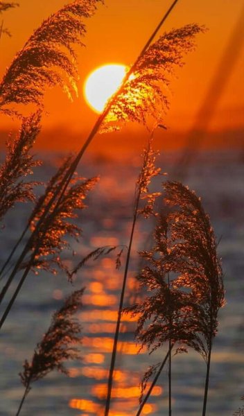 Красота неба