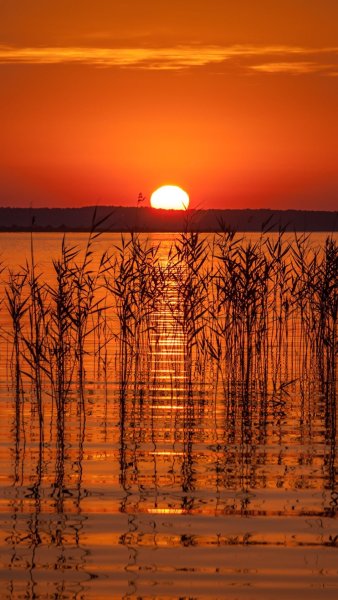 Красивый рассвет