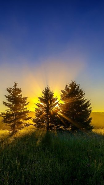 Солнце рассвет