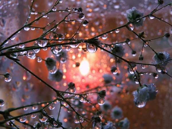 Весна капель