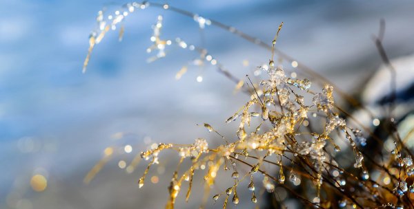 Окно дождь солнце