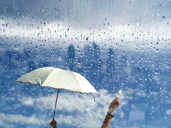 Яркое солнце весной