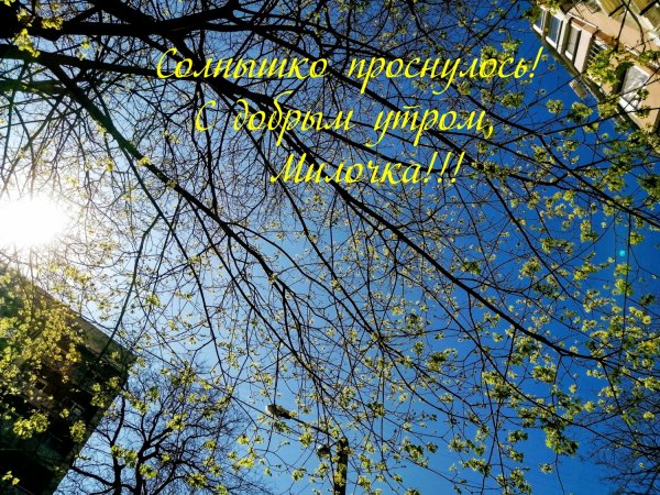 Добрый день солнце встало