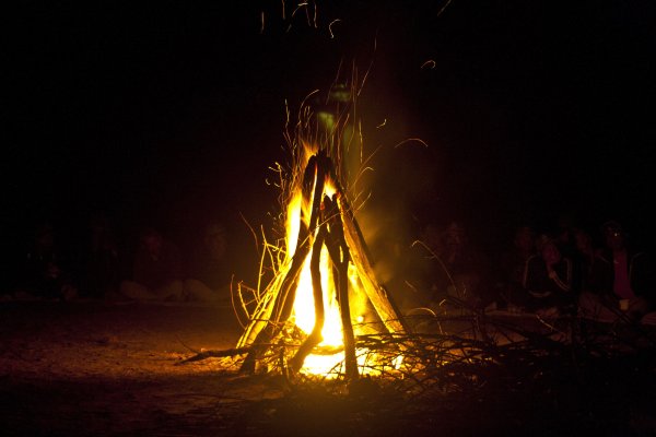 Мотыльки летят на свет