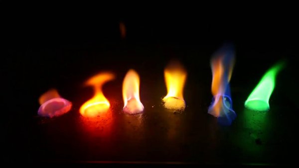 Мотыльки у лампочки