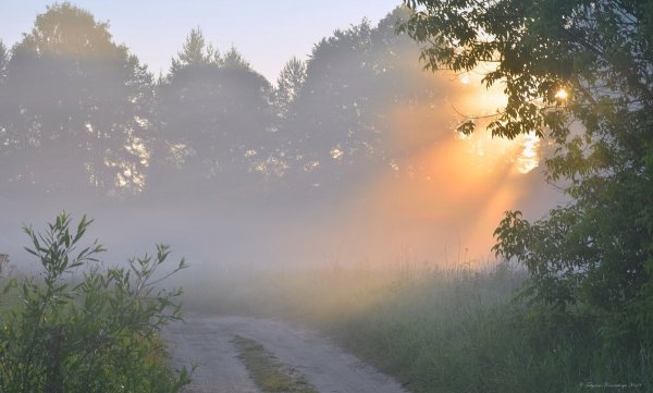 Солнце после дождя в поле