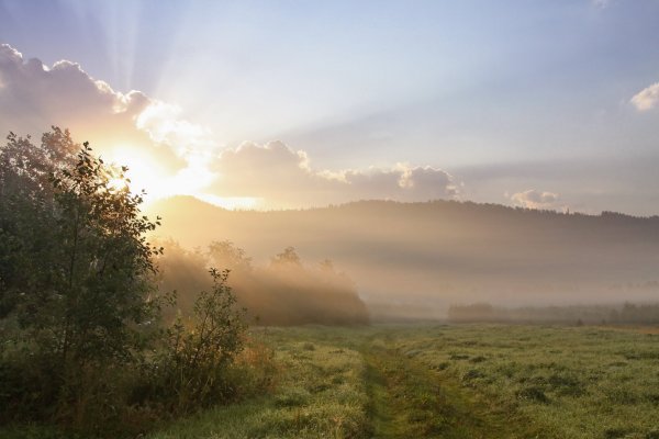 Солнце в тумане