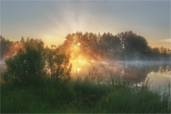 Мгла туман