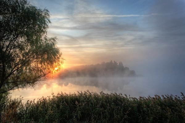 Рассвет в лесу