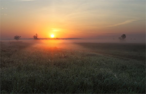 Свет в тумане