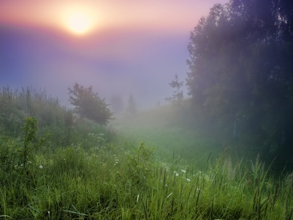 Лучи солнца в тумане