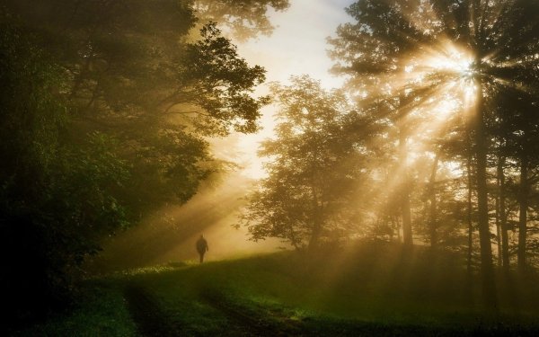 Солнце сквозь туман