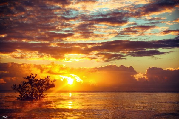 Иван Бунин рассвет