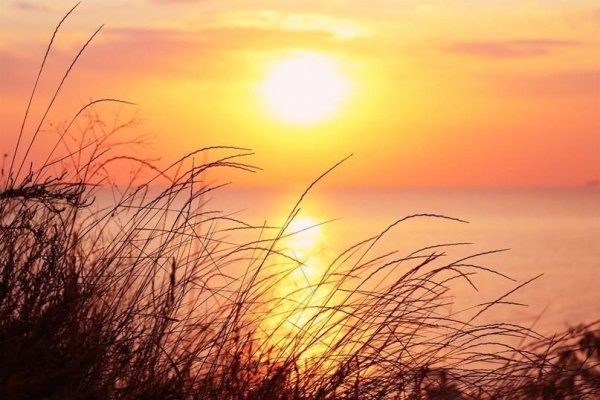 Пейзаж закат