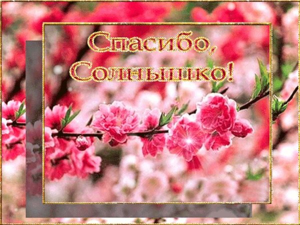 Открытка спасибо солнце