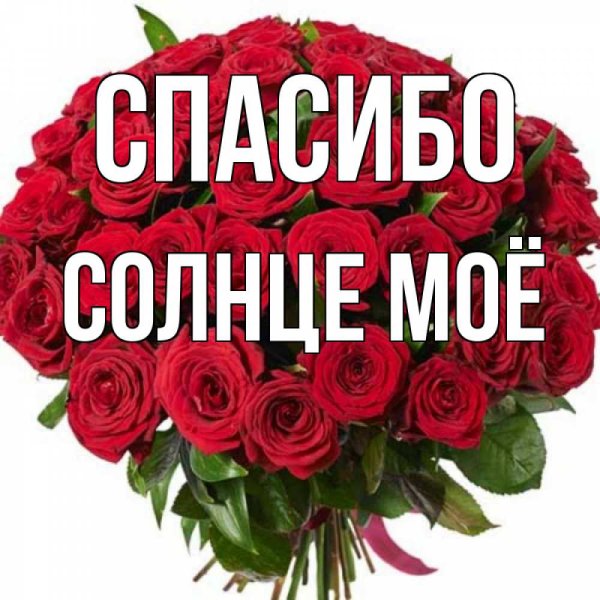 Спасибо моя дорогая