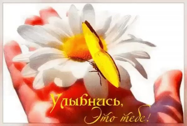 Спасибо большое солнышко