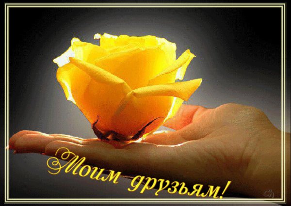 Душевного тепла и солнечного настроения