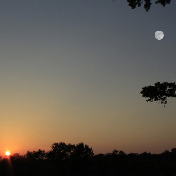 Солнце и Луна