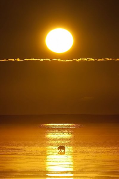 Солнце и Луна вместе на небе