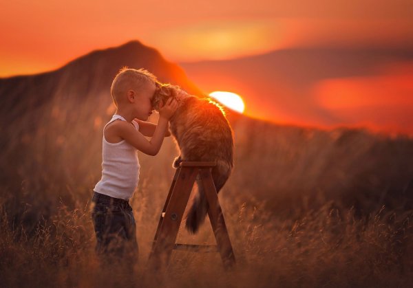 Солнце добра