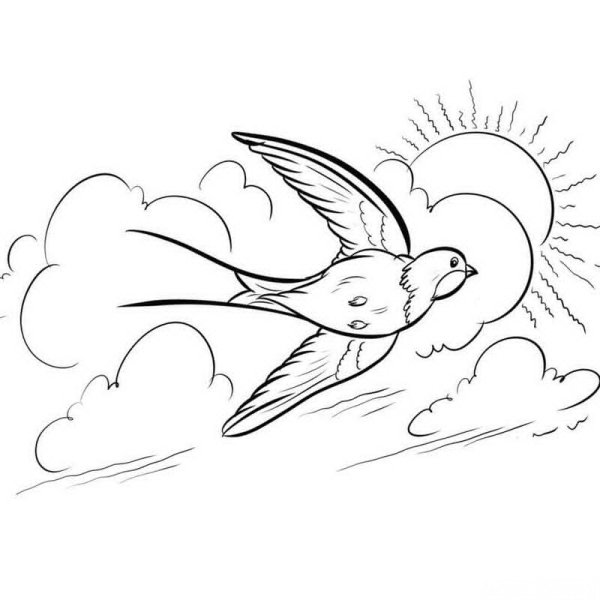 Ласточка раскраска