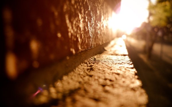 Солнечные блики и тени