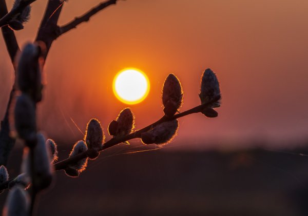 Вечер закат Весна