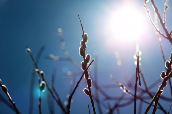 Ранняя атмосферная Весна