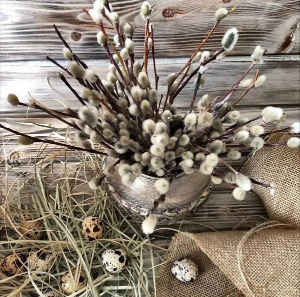 С Вербным воскресеньем