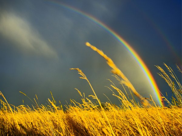 Красивая Радуга