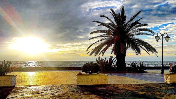 Климат Сочи